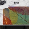 Schreibtischunterlage –  Blattadern in Herbstfarben – 60 x 40 cm – Schreibunterlage aus erstklassigem Premium Vinyl – Made in Germany