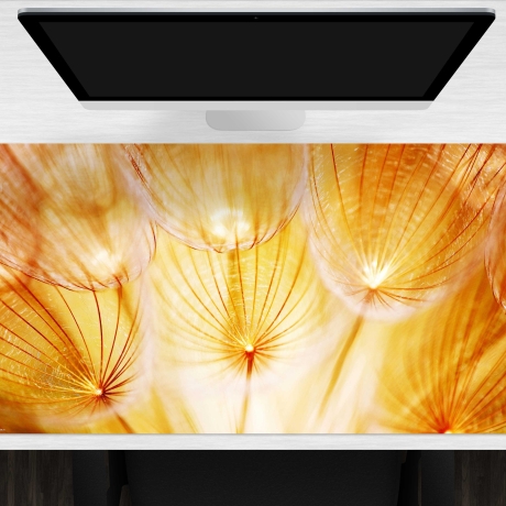 Schreibtischunterlage XXL – Pusteblume im Sonnenglanz – 100 x 50 cm – Schreibunterlage für Kinder aus erstklassigem Premium Vinyl