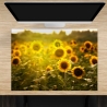 Schreibtischunterlage – Sonnenblumenfeld – 70 x 50 cm – Schreibunterlage für Kinder aus erstklassigem Premium Vinyl – Made in Germany