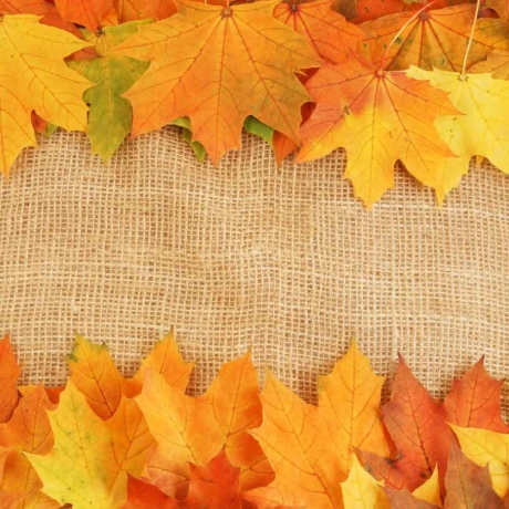 Tischset aus Papier „Herbstlaub auf Leinen“