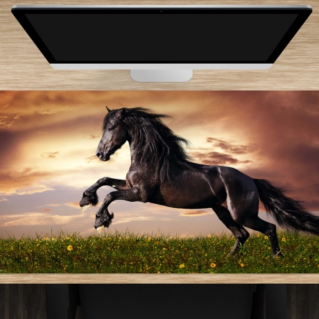 Schreibtischunterlage XXL – Schwarzes Pferd – 100 x 50 cm – Schreibunterlage für Kinder aus erstklassigem Premium Vinyl – Made in Germany