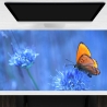 Schreibtischunterlage XXL – Orangener Schmetterling – 100 x 50 cm – Schreibunterlage für Kinder aus Premium Vinyl – Made in Germany