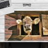 Schreibtischunterlage –  Neugierige Kuh – 60 x 40 cm – Schreibunterlage aus erstklassigem Premium Vinyl – Made in Germany