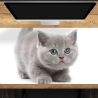 Schreibtischunterlage XXL – Süße graue Katze – 100 x 50 cm – Schreibunterlage für Kinder aus erstklassigem Premium Vinyl – Made in Germany