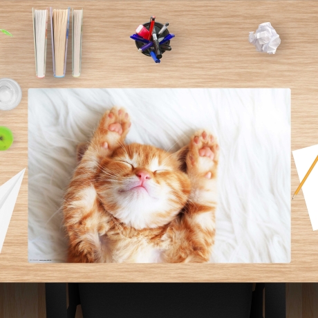 Schreibtischunterlage – Süsses Katzenbaby beim schlafen – 60 x 40 cm – Schreibunterlage für Kinder aus Premium Vinyl – Made in Germany