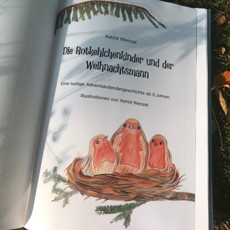 Adventskalenderbuch für Kinder von 3-6, Vorlesekalender