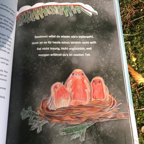 Adventskalenderbuch für Kinder von 3-6, Vorlesekalender