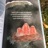Adventskalenderbuch für Kinder von 3-6, Vorlesekalender