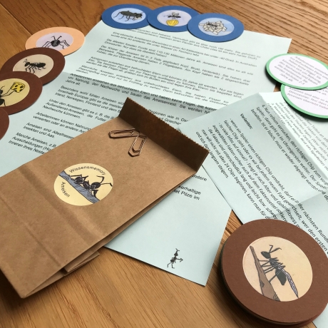 Überraschungstüte Ameisen, Kindergeburtstag, Gastgeschenk Kinder