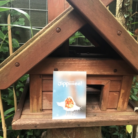 Grußkarte, Glückwunschkarte, Postkarte, Rotkehlchenkarte
