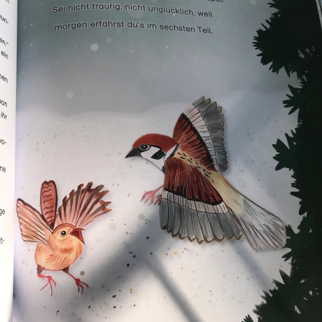 Adventskalenderbuch für Kinder von 3-6, Vorlesekalender