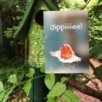 Grußkarte, Glückwunschkarte, Postkarte, Rotkehlchenkarte