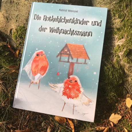 Adventskalenderbuch für Kinder von 3-6, Vorlesekalender
