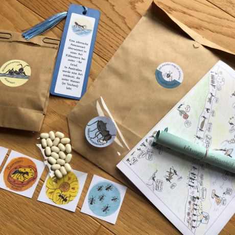 Überraschungstüte Ameisen, Kindergeburtstag, Gastgeschenk Kinder