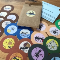 Ameisen-Memory, Gastgeschenk Kinder, Mitbringsel für Kinder