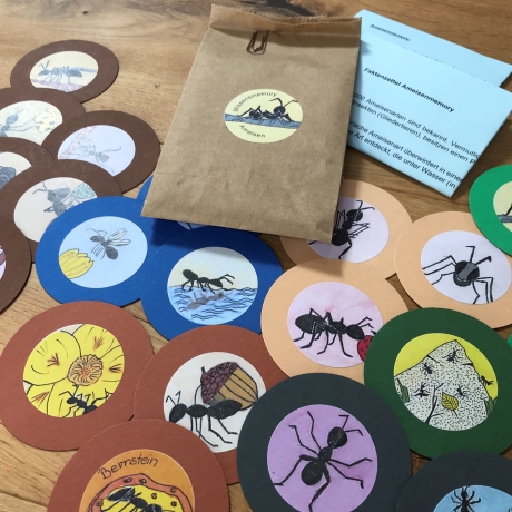 Ameisen-Memory, Gastgeschenk Kinder, Mitbringsel für Kinder