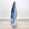 Sammelteller Berlin Design - Serie: Alt Bremen - Blick von Kehrm.  - blaues Porzellan  - Auflage 3.000 - Made in Germany - 9D1 - TOP Zustand