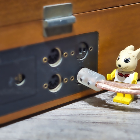 Lautsprecherstecker Paar für Verstärker mit DIN Anschluss (Strichpunkt) für Kabel bis 2,5 Quadratmillimeter, verstellbare Kontakte LSDN-1