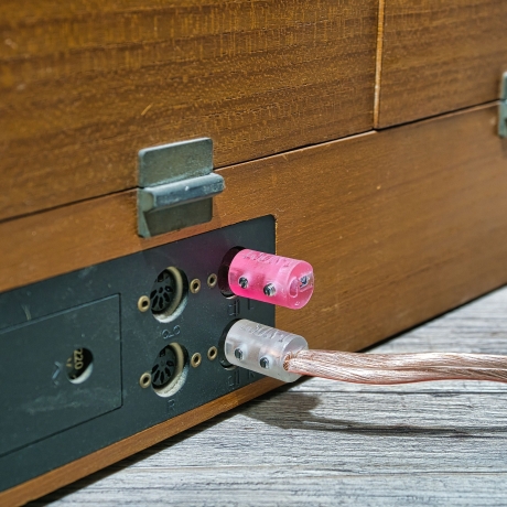 Lautsprecherstecker Paar für Verstärker mit DIN Anschluss (Strichpunkt) für Kabel bis 2,5 Quadratmillimeter, verstellbare Kontakte LSDN-1