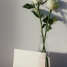 Briefpapier Set + passende Umschläge mit Rosen Look. DIN A4