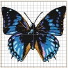 Maschinen Stickdatei - Schmetterling blau