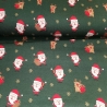 Reststück: grün roter Sweat Stoff Weihnachten Rentier Geschenke Weihnachtsmann; ca. 0,5m