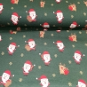 Reststück: grün roter Sweat Stoff Weihnachten Rentier Geschenke Weihnachtsmann; ca. 0,5m