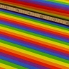 Baumwoll Jersey Stoff Druck - Regenbogenstreifen bunt/multicolor (schmal)
