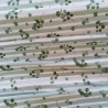 Baumwolljersey Druck - Eucalyptus Stoff grün weiß gestreift | Fräulein von Julie