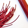 Spaghetti/Pomodoro. 61cm/24 Leder-Flogger