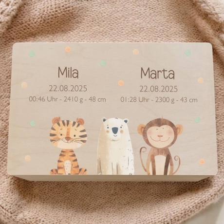 Erinnerungskiste Baby Zwillinge personalisiert Geburt Taufe