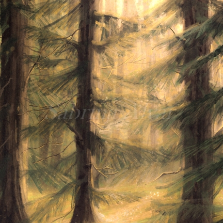 Waldliebe Illustration ~ Spaziergang im Nadelwald ~ DIN A4 Print made by a human (NO AI)