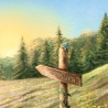 Waldliebe Illustration ~ Herzensweg ~ DIN A4 Print made by a human (NO AI)