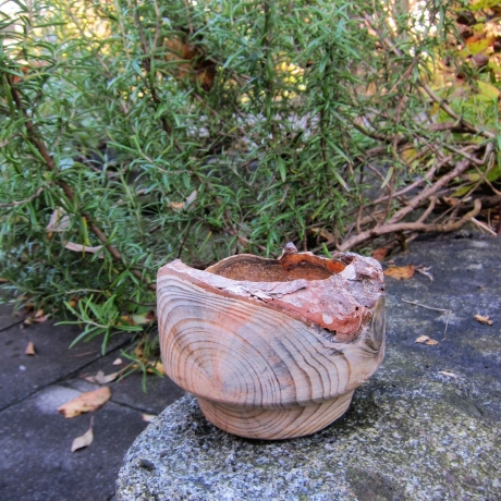 Glänzende Holzschale mit rustikalem Rinden-Rand