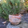 Glänzende Holzschale mit rustikalem Rinden-Rand
