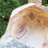 Buchenschale aus Astgabelung mit außergewöhnlicher Maserung