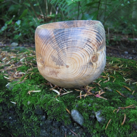 Stamm Schale / tiefes Gefäß / Übertopf / Holzschale