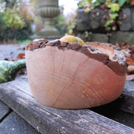 rustikale Holzschale aus Apfelholz mit Rindenrand naturbelassen