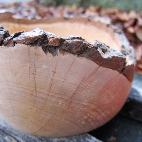 rustikale Holzschale aus Apfelholz mit Rindenrand naturbelassen
