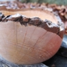 rustikale Holzschale aus Apfelholz mit Rindenrand naturbelassen