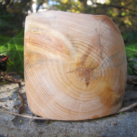 kleine Holzschälchen aus Astgabelung mit toller Maserung