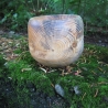 Stamm Schale / tiefes Gefäß / Übertopf / Holzschale