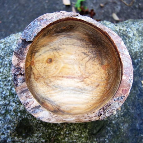 Glänzende Holzschale mit rustikalem Rinden-Rand