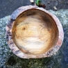 Glänzende Holzschale mit rustikalem Rinden-Rand