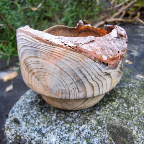 Glänzende Holzschale mit rustikalem Rinden-Rand