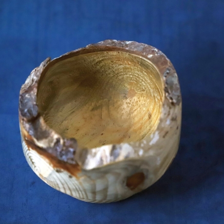 Glänzende Holzschale mit rustikalem Rinden-Rand