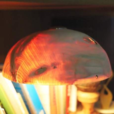 Tischlampe Touch mit Tannen-Holz- Lampenschirm hach dünn