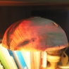 Tischlampe Touch mit Tannen-Holz- Lampenschirm hach dünn