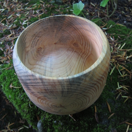 Stamm Schale / tiefes Gefäß / Übertopf / Holzschale