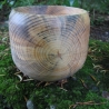 Stamm Schale / tiefes Gefäß / Übertopf / Holzschale